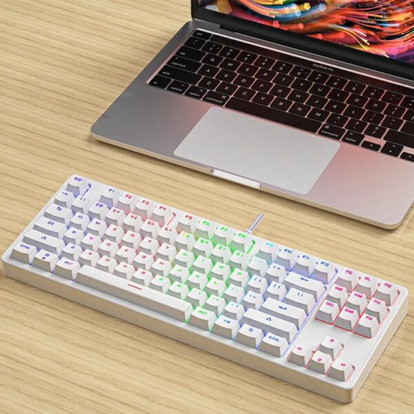 SKY POWER Blue Switch Mekanik Gaming Oyun Klavyesi RGB 61 Key Mavi Tuş Type-C Klavye BEYAZ - Görsel 3