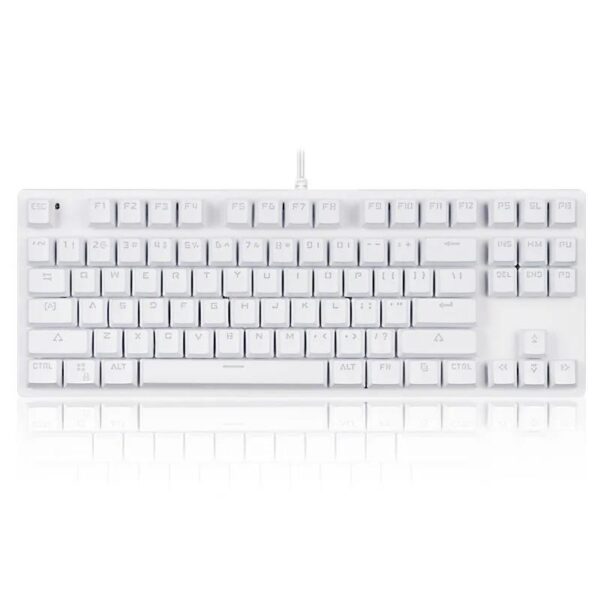 SKY POWER Blue Switch Mekanik Gaming Oyun Klavyesi RGB 61 Key Mavi Tuş Type-C Klavye BEYAZ - Görsel 4