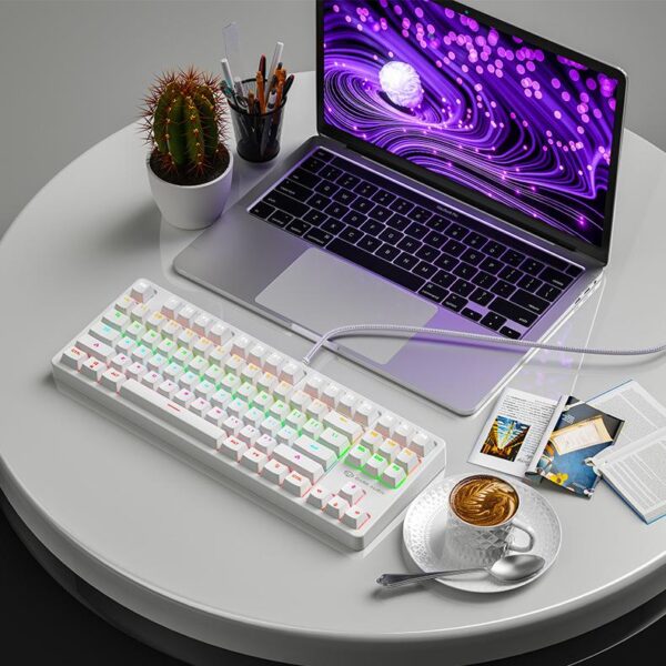 SKY POWER Blue Switch Mekanik Gaming Oyun Klavyesi RGB 61 Key Mavi Tuş Type-C Klavye BEYAZ - Görsel 5